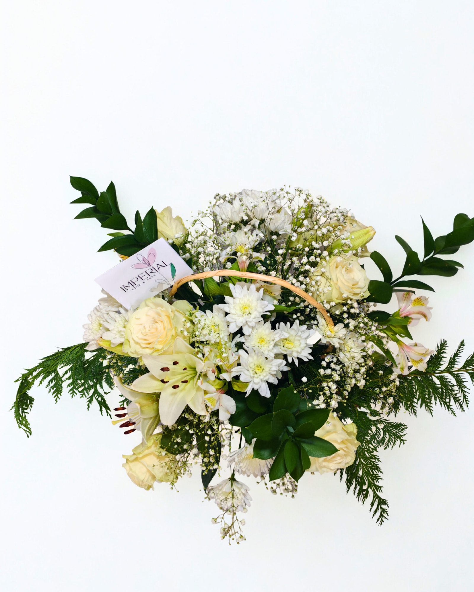 Consuelo Blanco - Imagen 2