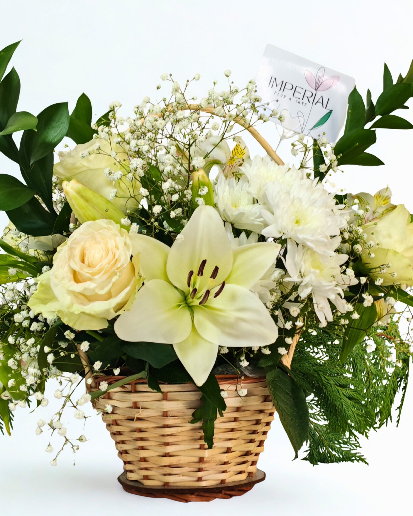 Consuelo Blanco - Imagen 3