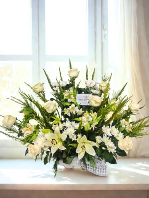 Arrimo Homenaje Blanco