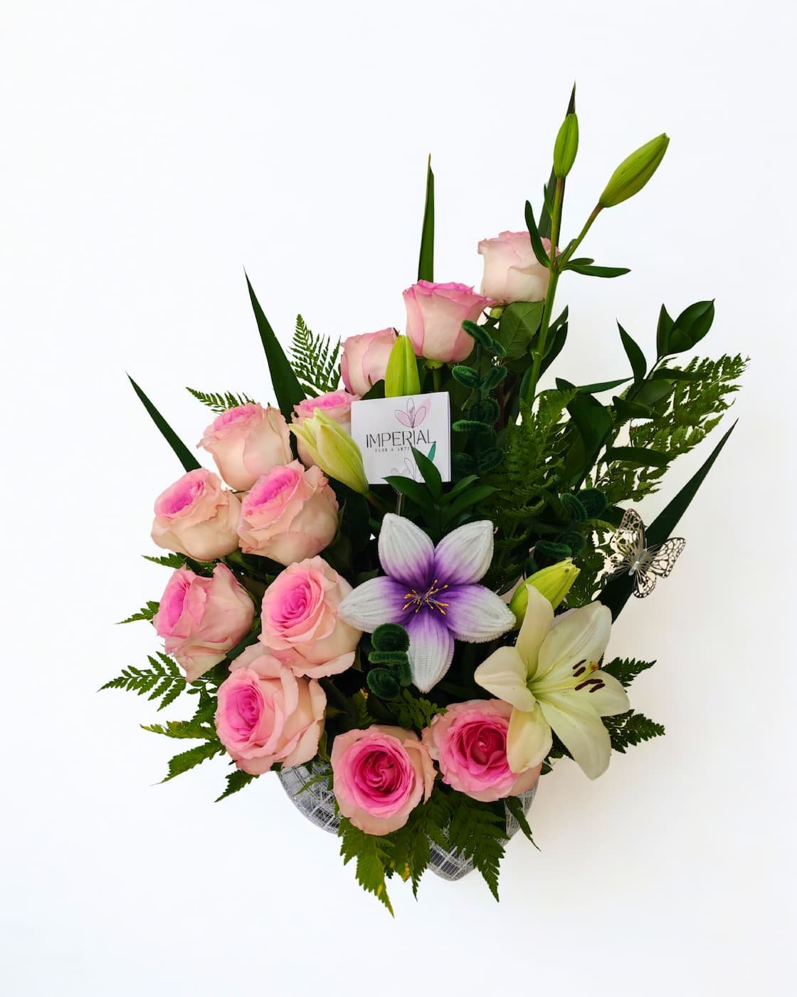 Ternura Imperial - Imagen 2