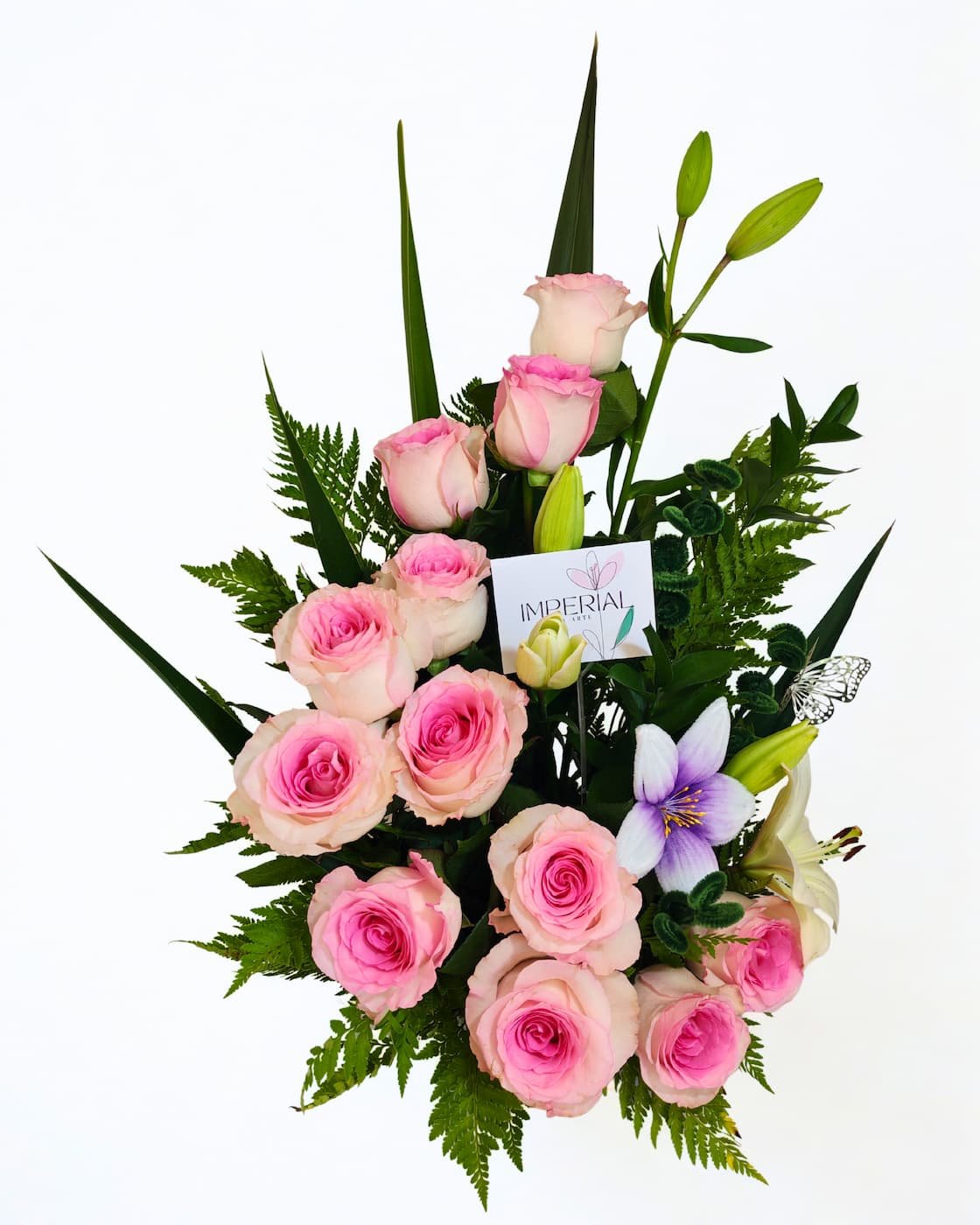 Ternura Imperial - Imagen 3