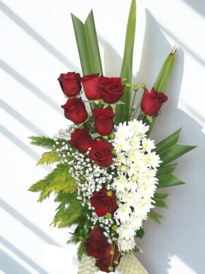 Corona Escudo Carmesí