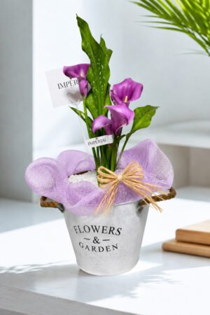 Arreglo con calas naturales en balde decorativo – Regalo que perdura a domicilio en Santiago