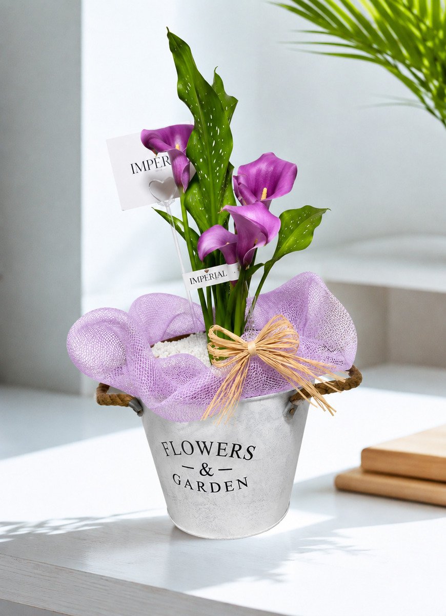 Arreglo con calas naturales en balde decorativo – Regalo que perdura a domicilio en Santiago