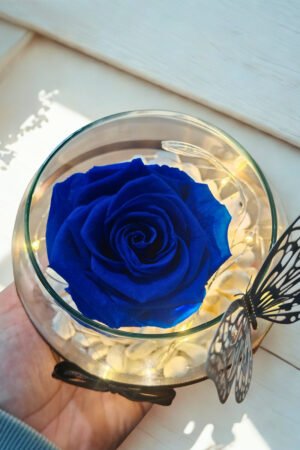 Rosa Preservada Iluminada Azul